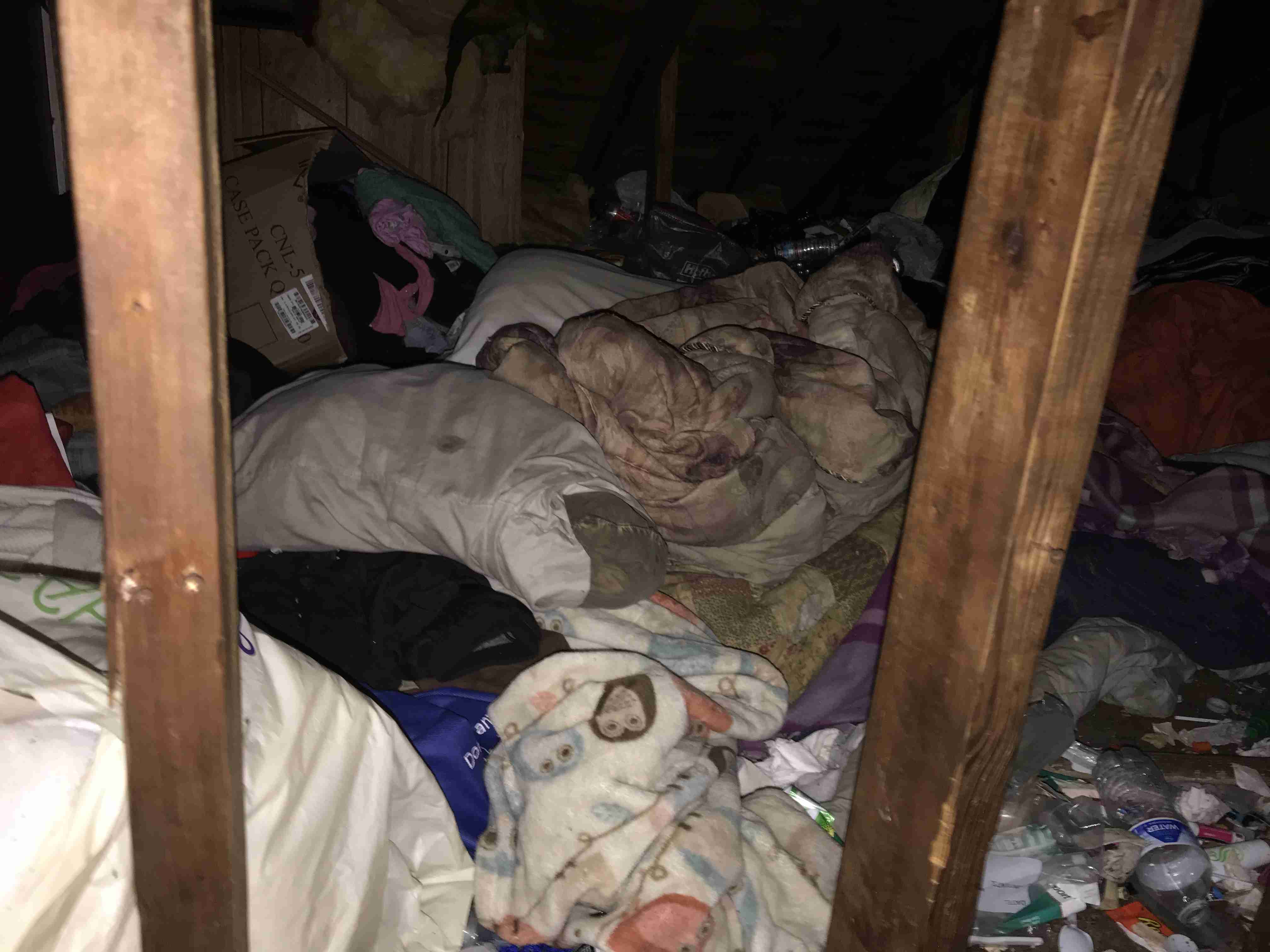 Photo Sep 10, 3 04 42 PM.jpg